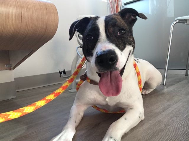 Community Foundation of Sarasota County Awards Nearly $200,000