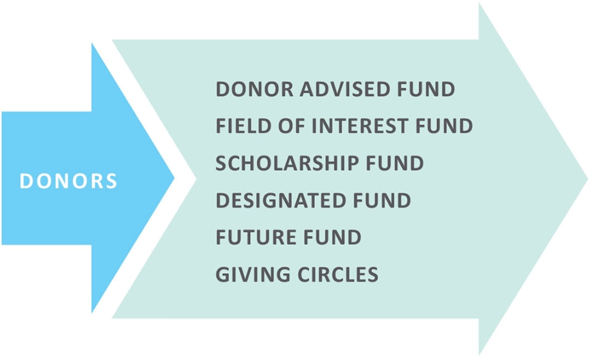 types of funds flowchart