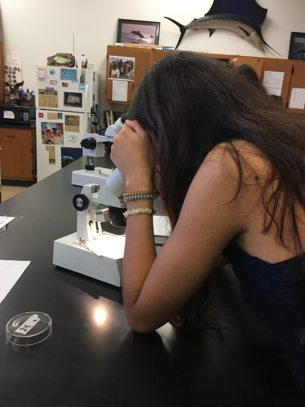 alexis-scholarship-story-microscope.jpg